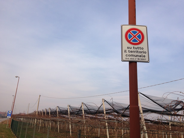 Divieto di fermata a Bussolengo