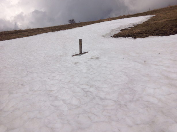 Cartello di Col di Pealda Bassa sommerso dalla neve